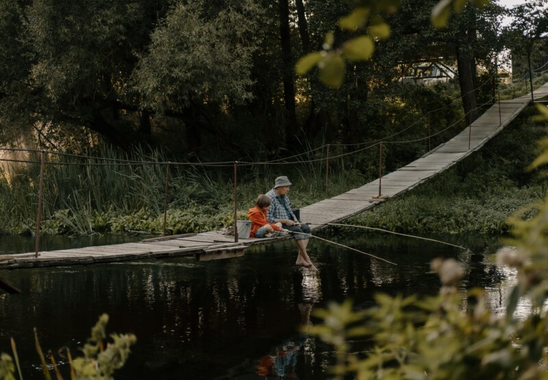 На деревню дедушке